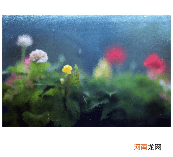 跟摄影师学习如何从生活中寻找灵感拍出美照