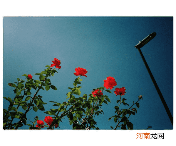 跟摄影师学习如何从生活中寻找灵感拍出美照