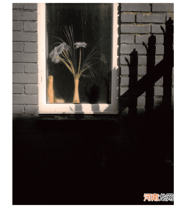 跟摄影师学习如何从生活中寻找灵感拍出美照