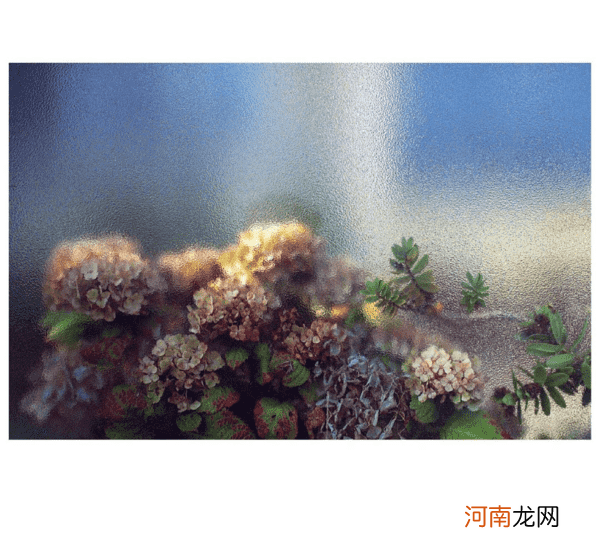 跟摄影师学习如何从生活中寻找灵感拍出美照