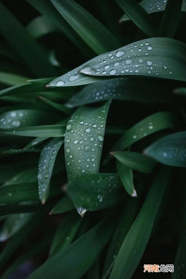 雨天照片拍摄技巧