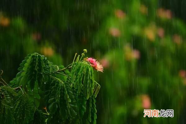 雨天照片拍摄技巧