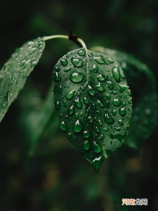 雨天照片拍摄技巧