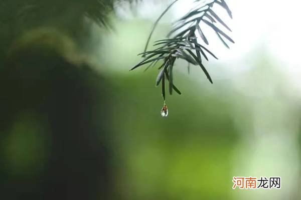 雨天照片拍摄技巧