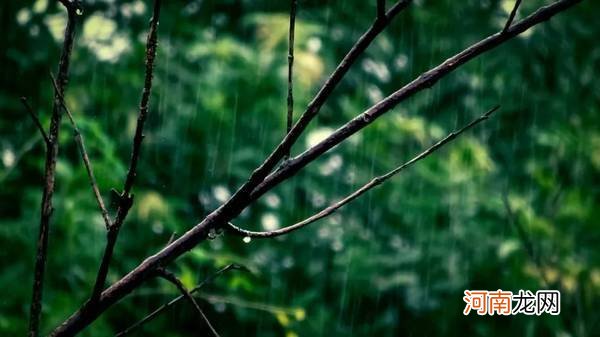 雨天照片拍摄技巧