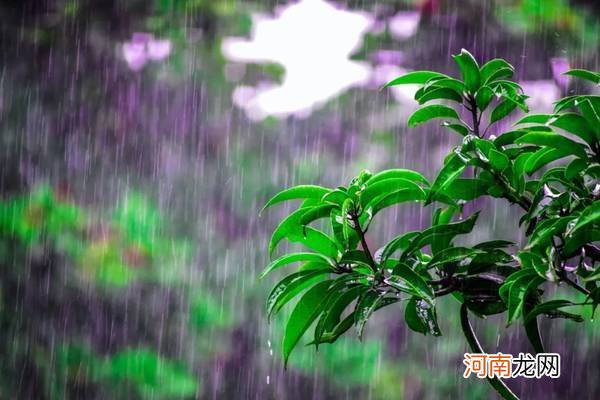 雨天照片拍摄技巧