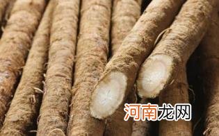 牛蒡根泡水喝竟有6个危害优质