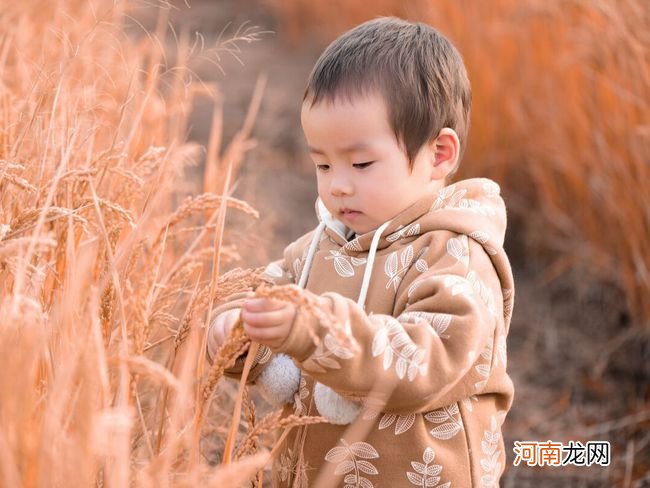 宝宝秋燥爱便秘？不妨来试试这10款辅食，润肠通便，轻松应对