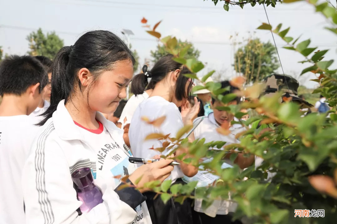 心理学家李子勋：100堂课，不如带孩子在大自然走一天