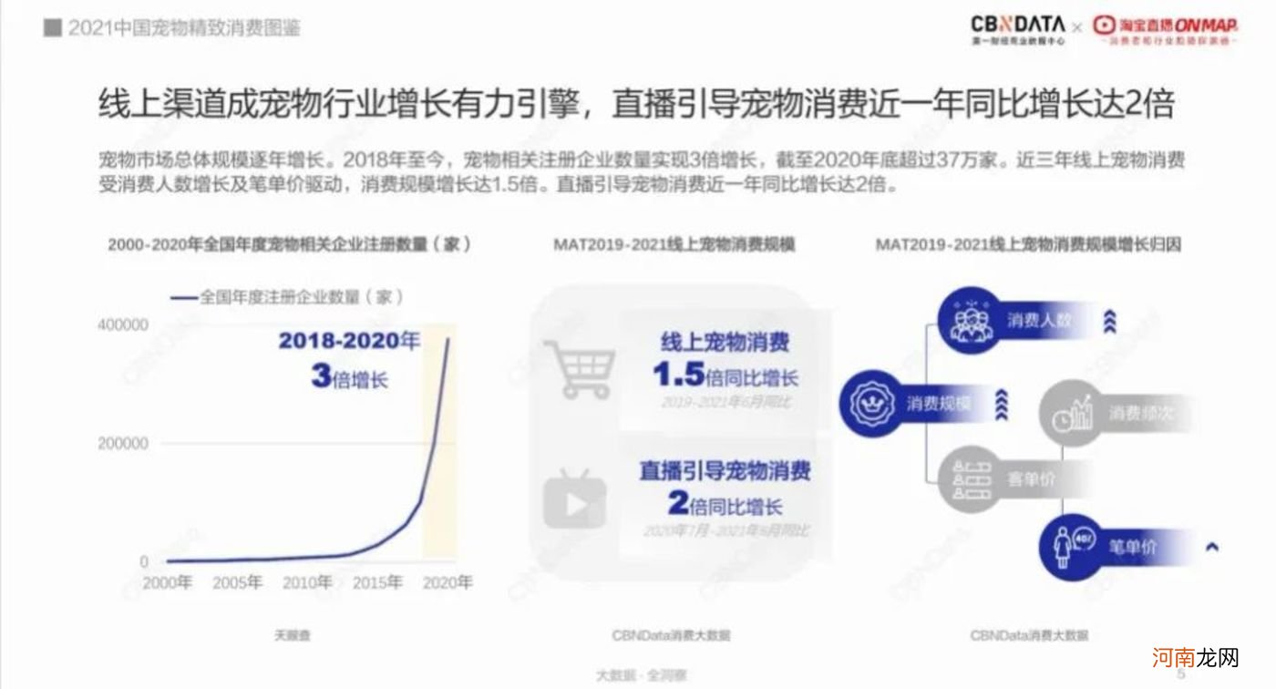 宠物消费新趋势：直播引导消费增长近2倍，东莞、郑州、长沙成新晋“养宠大户”