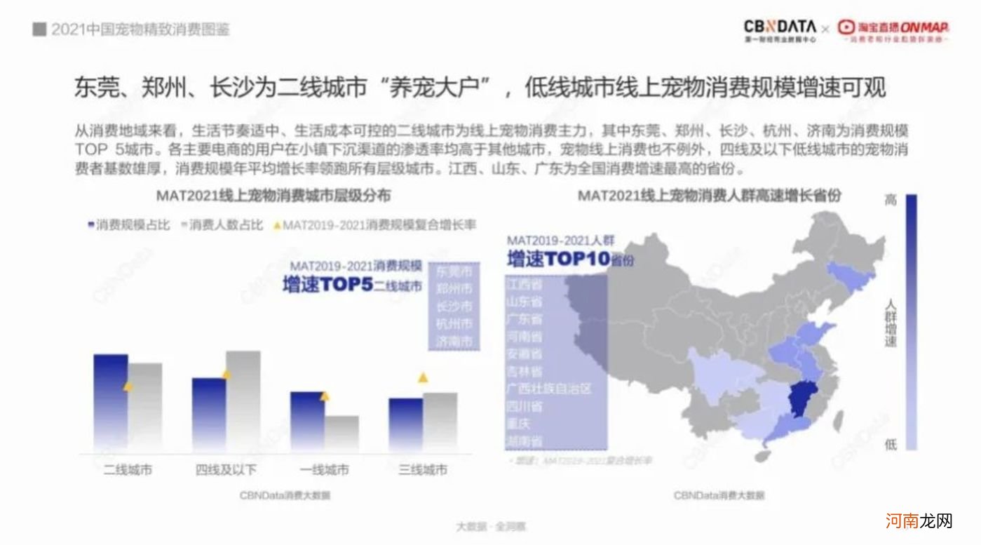 宠物消费新趋势：直播引导消费增长近2倍，东莞、郑州、长沙成新晋“养宠大户”