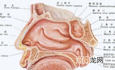 如何治疗打呼噜呢 打呼噜的治疗方法