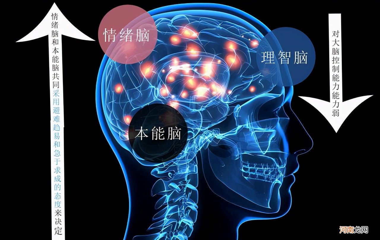 北大教授吐槽孩子是学渣，不得不认命，该如何培养出聪明的孩子？