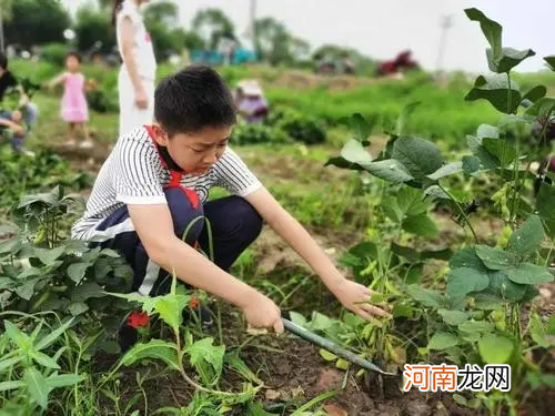 “妈妈，为啥中秋不能回姥姥家”？甩掉陋习，中秋回咱娘家过！