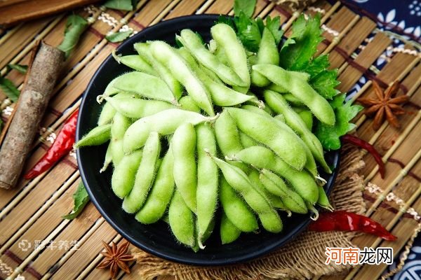 煮毛豆需要多长时间 煮毛豆的做法