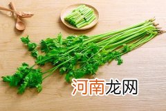 芹菜不能和什么食物一起吃 芹菜与哪些食物相克