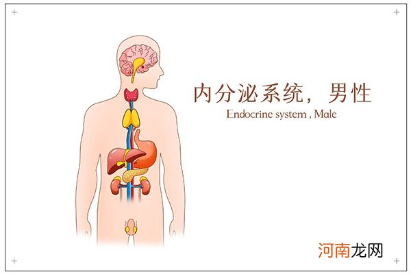 内分泌失调的调理 内分泌失调怎么办