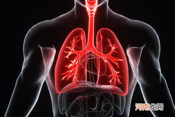 肺在哪个位置 肺的作用
