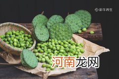 新鲜莲子怎么吃最好 新鲜莲子的吃法