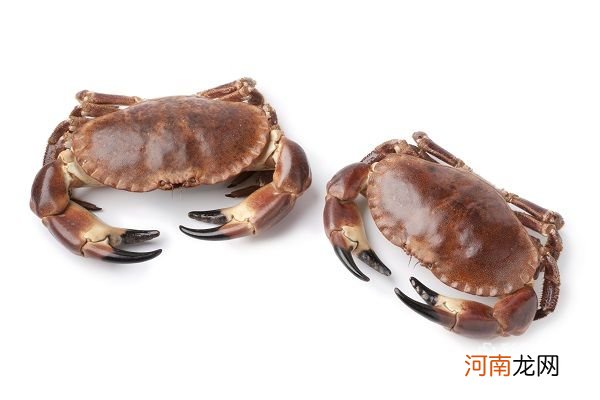 海蟹蒸多久最佳时间 海蟹的做法