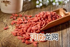 枸杞子如何食用 枸杞子怎么吃