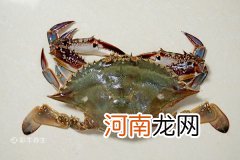 梭子蟹煮多久可以食用 梭子蟹的做法