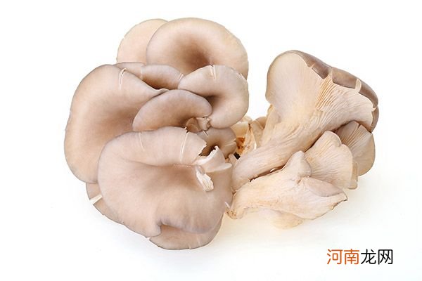 平菇可以和鸡蛋一起吃吗 平菇不能和什么同食