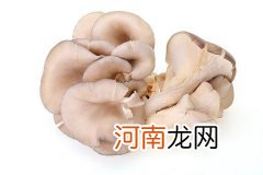 平菇可以和鸡蛋一起吃吗 平菇不能和什么同食