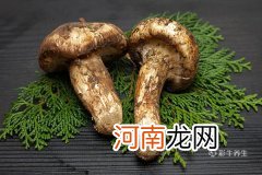 松茸不能和什么一起吃 松茸和什么相克