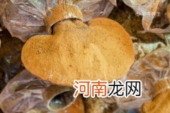 吃灵芝孢子粉的禁忌 吃灵芝孢子粉有哪些注意事项