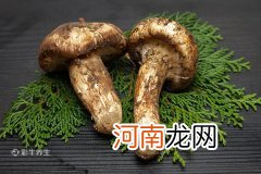 松茸怎么保存 松茸的保存方法