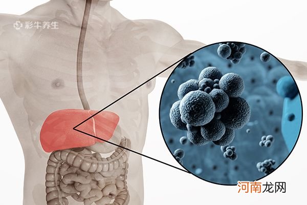 乙肝大三阳和小三阳的区别 乙肝大、小三阳的区别