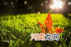 立秋是几月几号2021年 2021年立秋是几月几号几点