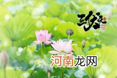 三伏天怎么养生 三伏天养生诀窍