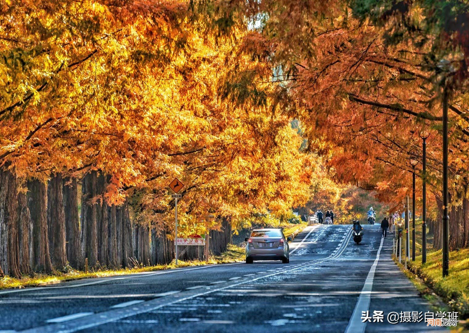 摄影新手拍风景别走弯路，改正这11个摄影错误，风景照片会更漂亮