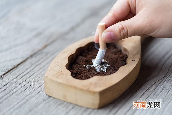 脑供血不足怎样调理食补吃什么