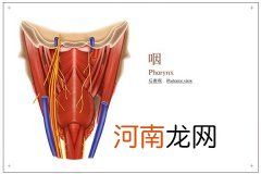 咽颊炎有什么症状如何治疗 咽颊炎有什么症状该如何治疗