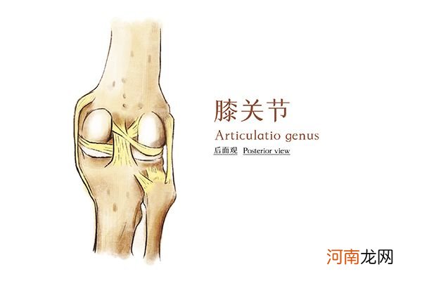 膝盖弯曲时疼痛怎么回事 膝盖弯曲时疼痛是怎么回事