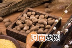 吃什么食物可以补肾 补肾的食物有哪些