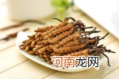 冬虫夏草的作用与功效 冬虫夏草的功效有哪些