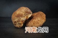猴头菇的营养价值 猴头菇的药用功效