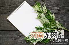 陈艾的功效和作用 陈艾的功效和作用禁忌及食用方法