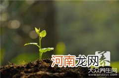 吲哚乙酸的作用和用法吲哚乙酸的使用范围