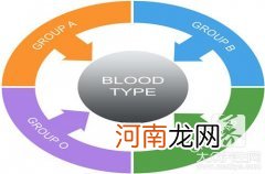 b型血吃什么容易胖 b型血吃什么减肥