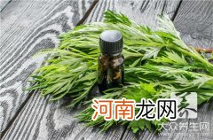 艾条炙肚脐有哪些效果呢? 艾灸条肚脐上的,效果与作用