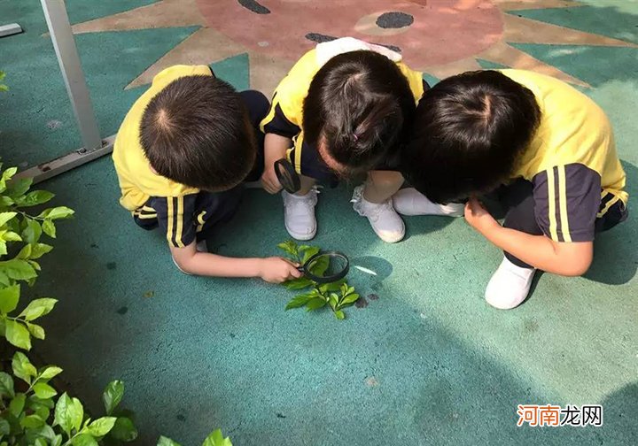 幼儿园老师坦言：3岁上幼儿园，并不是最佳年龄，“副作用”太多