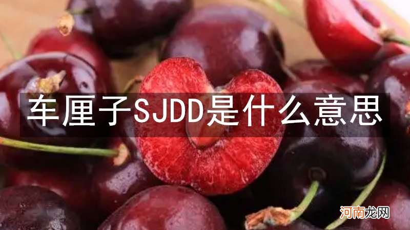 车厘子SJDD是什么意思