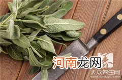 干薄荷叶泡水的功效是什么? 干薄荷叶泡水的功效与副作用