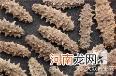 海参的食用方法 食用海参禁忌