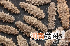 海参斑的做法是什么 海参斑吃法